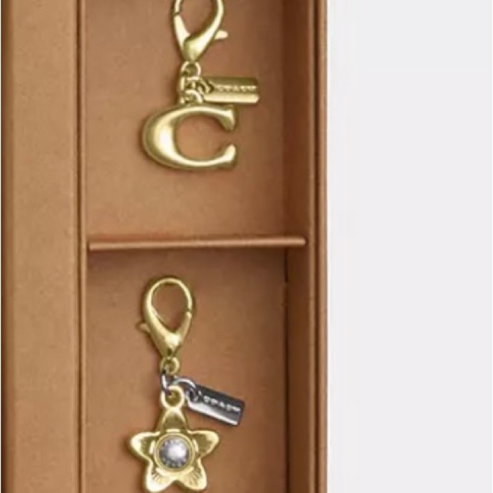 Coach Removable Charms Key Ring Bundle Of Two C Charm And Flower Gold - Picture 2 of 2